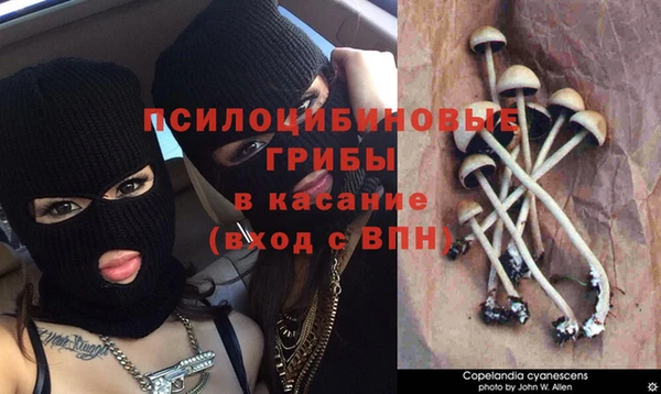 ALPHA PVP Новозыбков