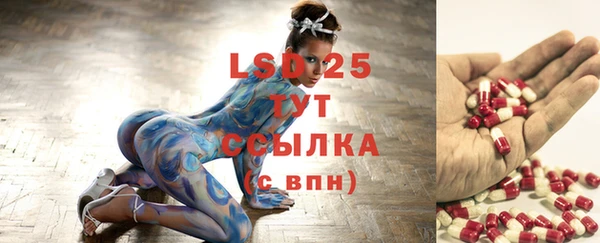 ALPHA PVP Новозыбков